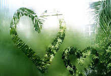 润和茶叶有限公司茶叶选购指南(和润茶业有限公司)